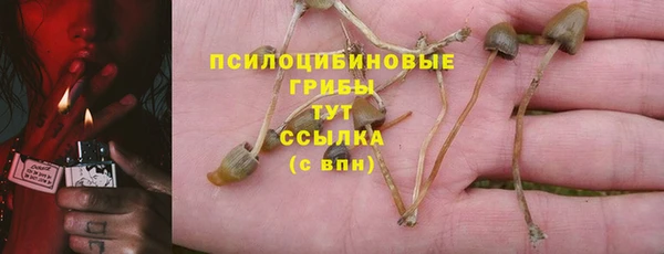 стаф Вязники