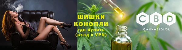 стаф Вязники