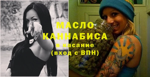 молекула духа Вязьма