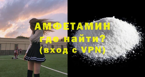 молекула духа Вязьма