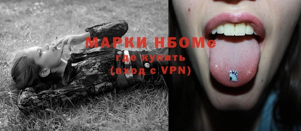 стаф Вязники