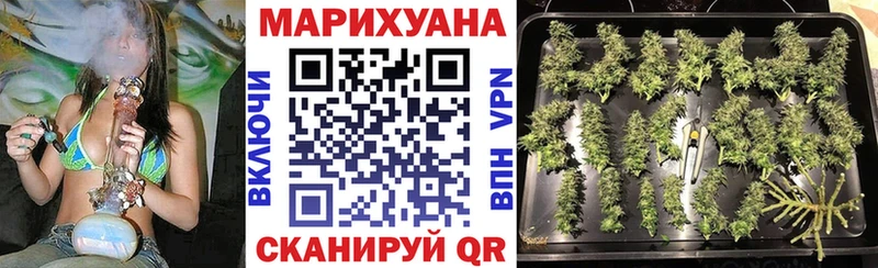 хочу   Железноводск  Бошки марихуана VHQ 